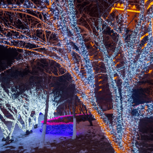 Illuminated Trails Hire